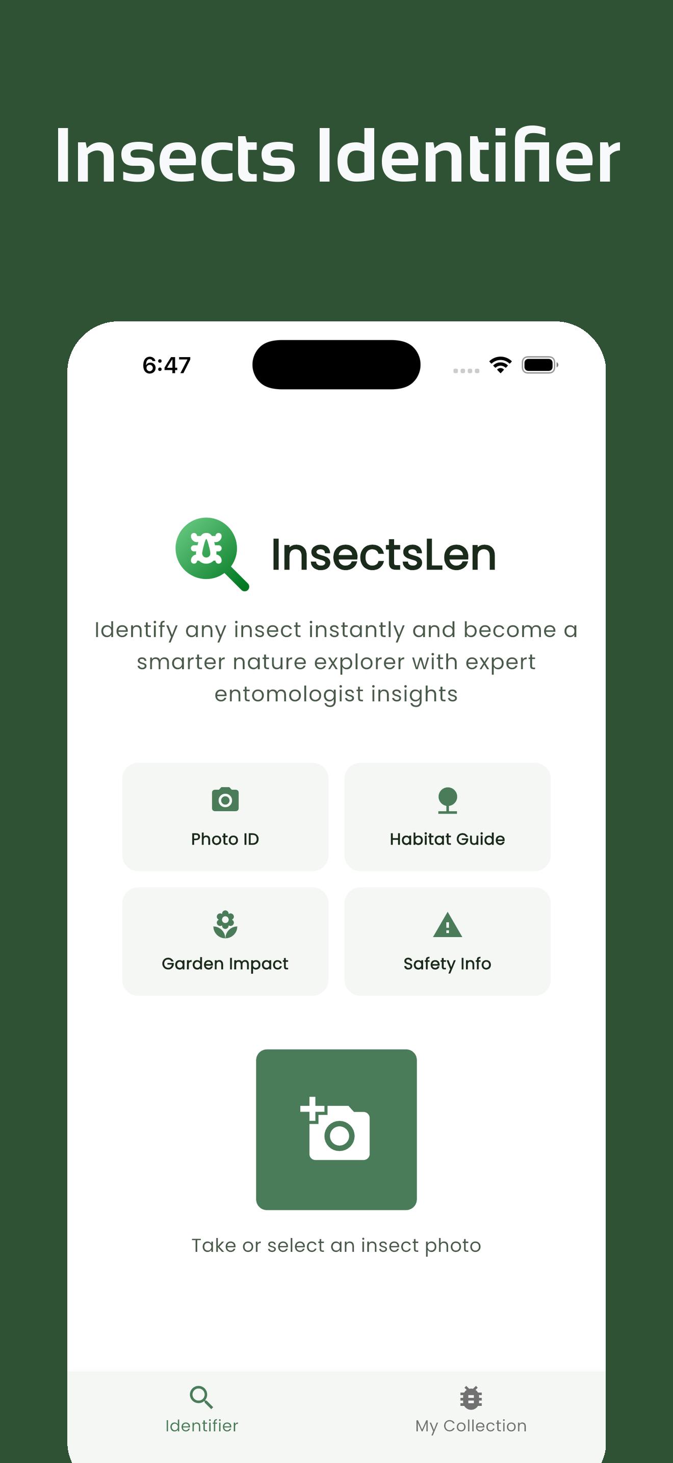 InsectsLen Screenshot 1